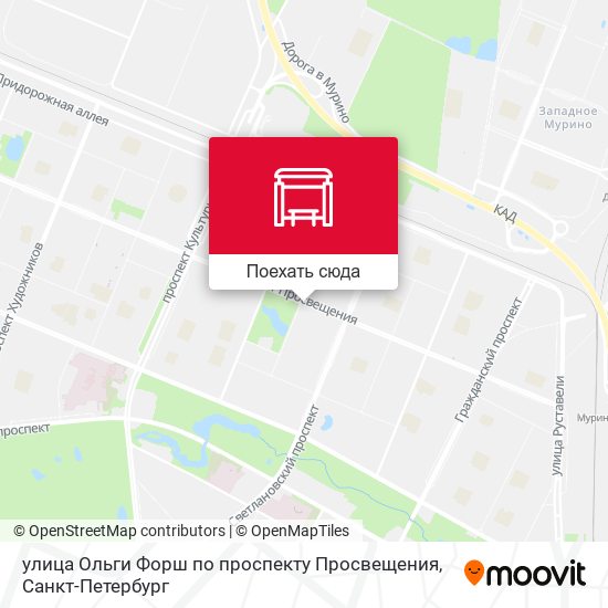 Карта улица Ольги Форш по проспекту Просвещения