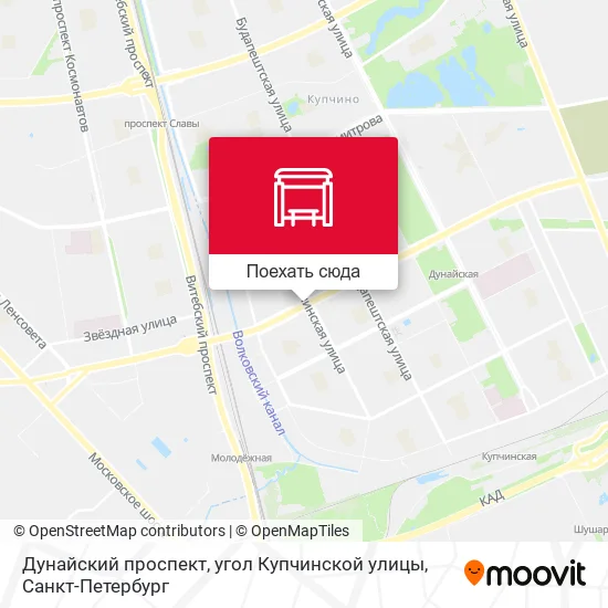 Карта Дунайский проспект, угол Купчинской улицы