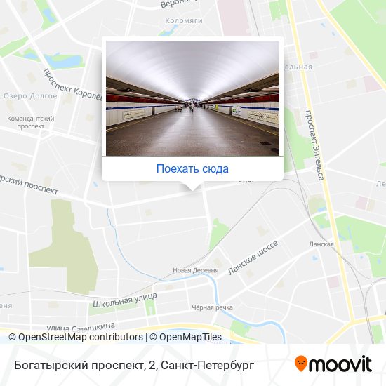 Карта Богатырский проспект, 2