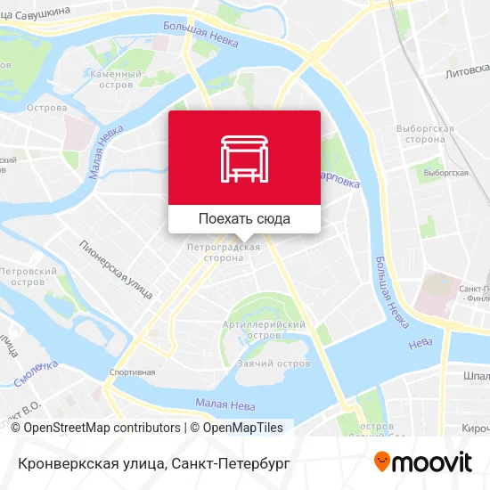 Карта Кронверкская улица