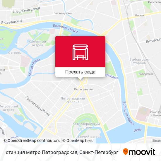 Карта станция метро Петроградская