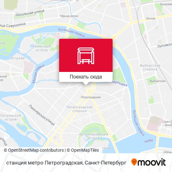 Карта станция метро Петроградская