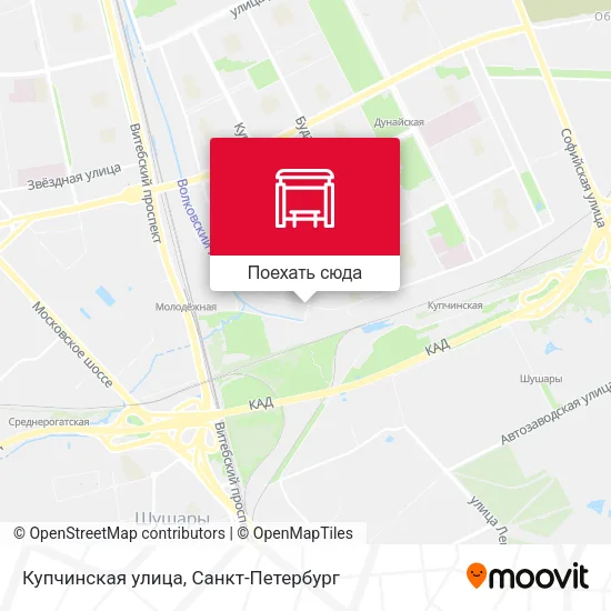 Карта Купчинская улица