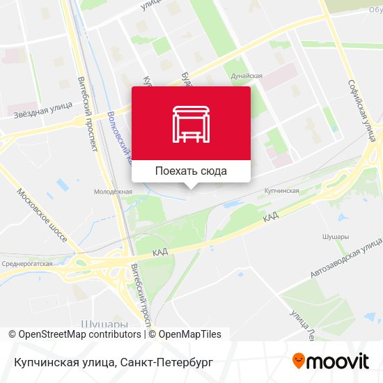 Карта Купчинская улица