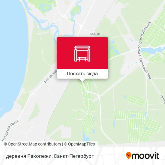 Карта деревня Ракопежи