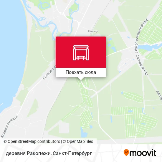 Карта деревня Ракопежи