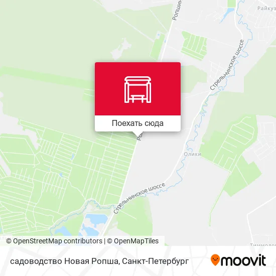 Карта садоводство Новая Ропша