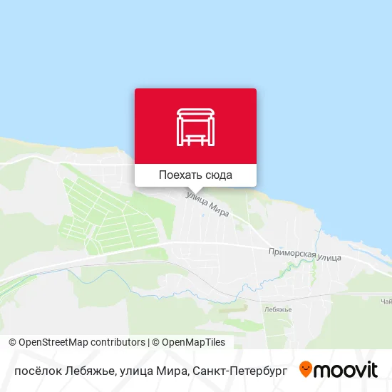 Карта посёлок Лебяжье, улица Мира