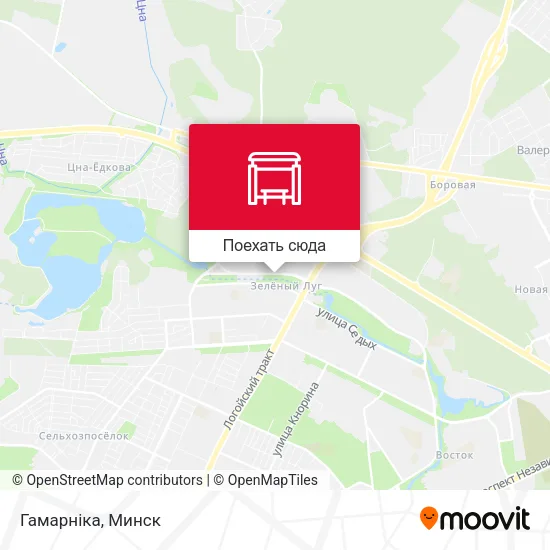 Карта Гамарніка