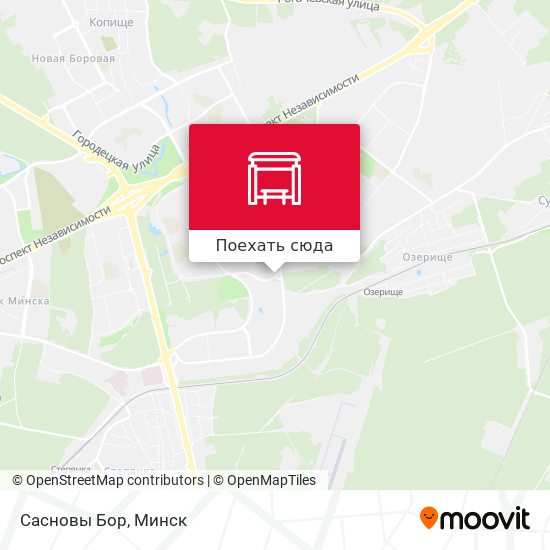 Карта Сасновы Бор