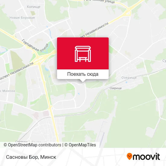 Карта Сасновы Бор