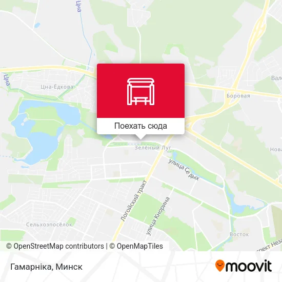 Карта Гамарніка