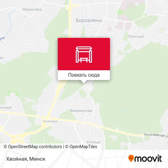 Карта Хвойная