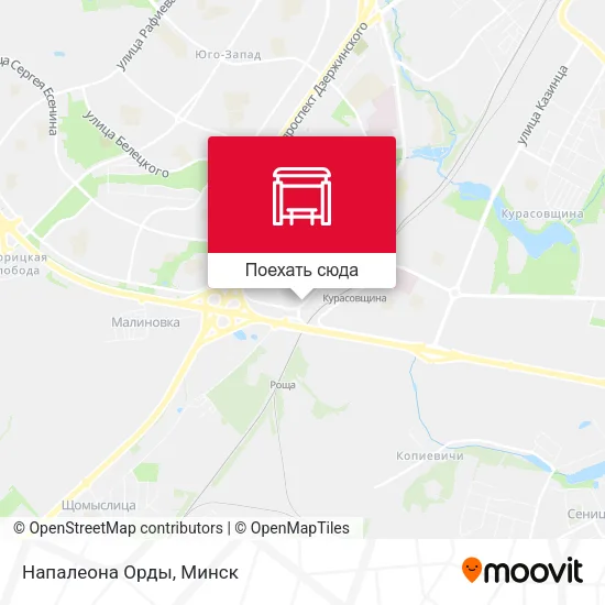Карта Напалеона Орды