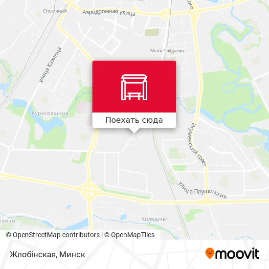 Карта Жлобінская