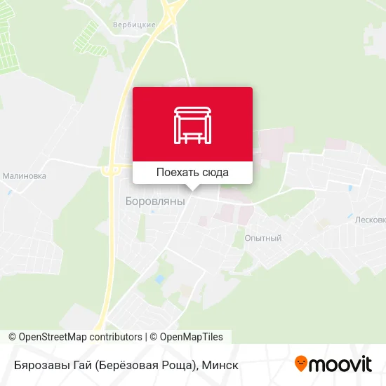 Карта Бярозавы Гай (Берёзовая Роща)