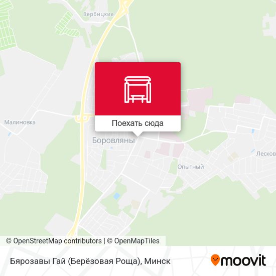 Карта Бярозавы Гай (Берёзовая Роща)