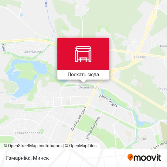 Карта Гамарніка