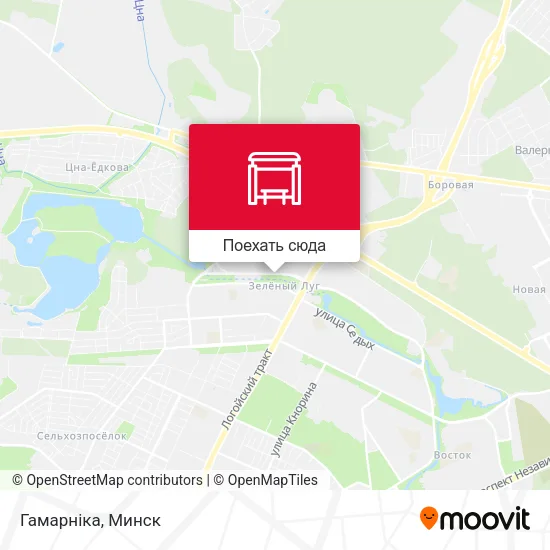 Карта Гамарніка