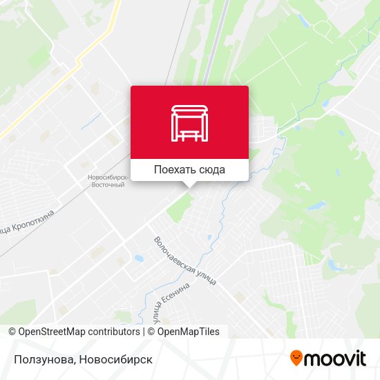 Карта Ползунова