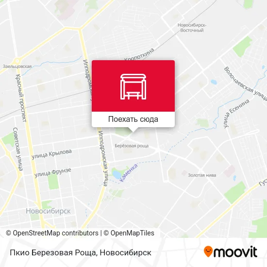Карта Пкио Березовая Роща