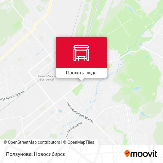 Карта Ползунова
