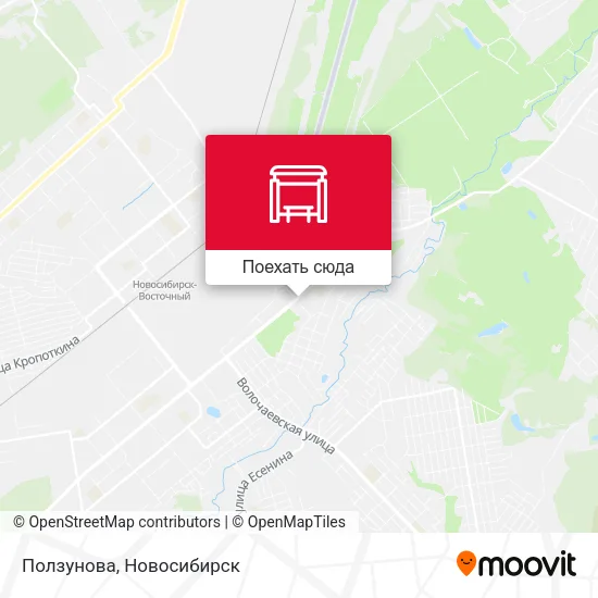 Карта Ползунова