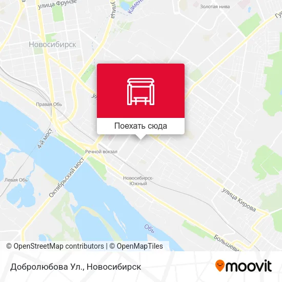 Карта Добролюбова Ул.