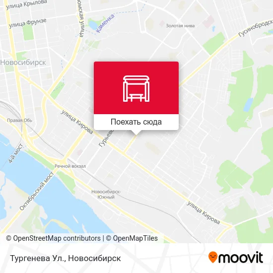 Карта Тургенева Ул.