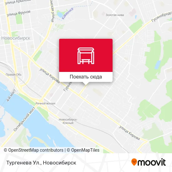 Карта Тургенева Ул.