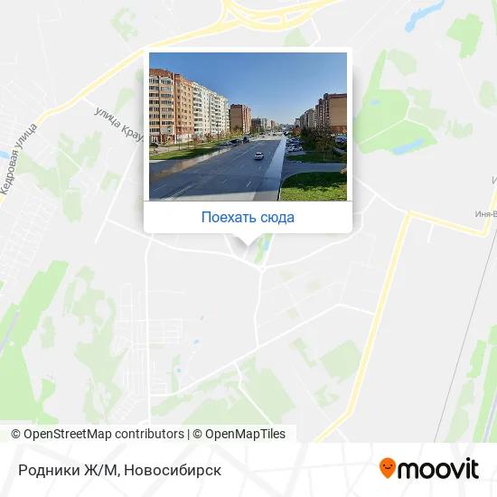 Карта Родники Ж/М