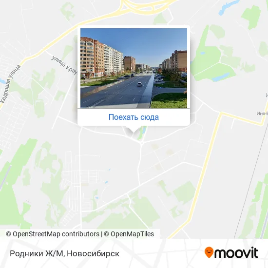 Карта Родники Ж/М