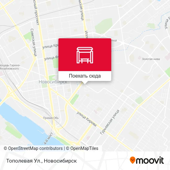 Карта Тополевая Ул.