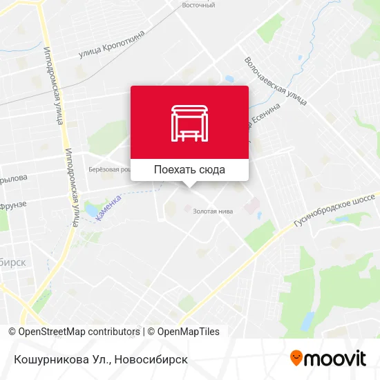 Карта Кошурникова Ул.