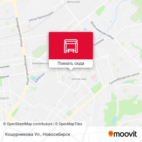 Карта Кошурникова Ул.