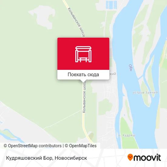 Карта Кудряшовский Бор