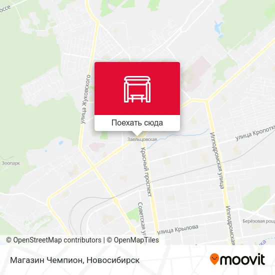 Карта Магазин Чемпион