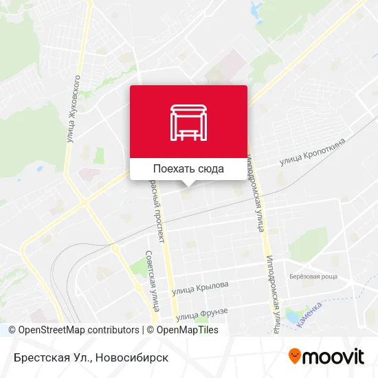 Карта Брестская Ул.