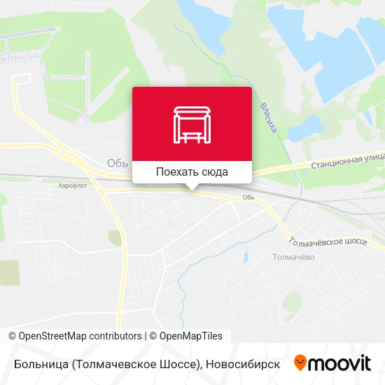 Карта Больница (Толмачевское Шоссе)