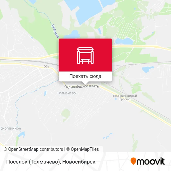 Карта Поселок (Толмачево)