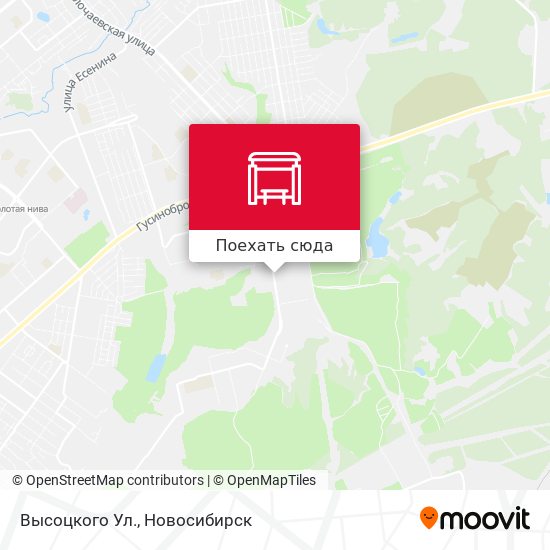 Карта Высоцкого Ул.