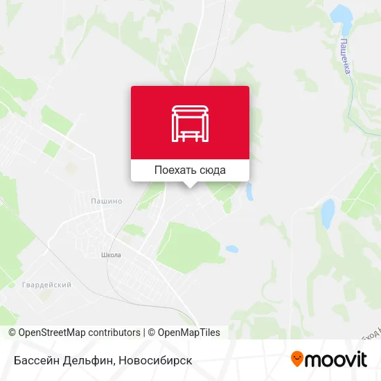 Карта Бассейн Дельфин