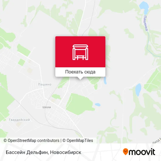 Карта Бассейн Дельфин