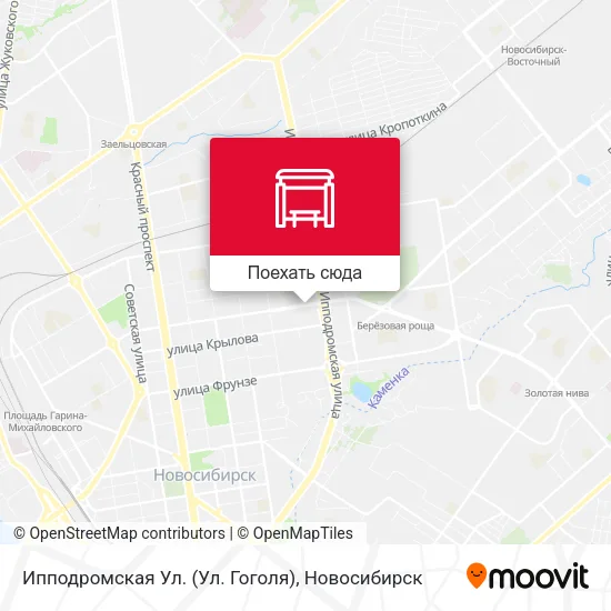 Карта Ипподромская Ул. (Ул. Гоголя)