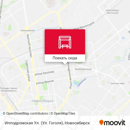 Карта Ипподромская Ул. (Ул. Гоголя)