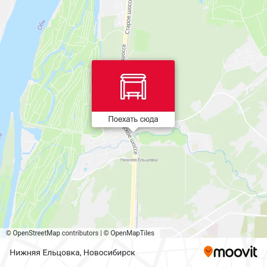 Карта Нижняя Ельцовка