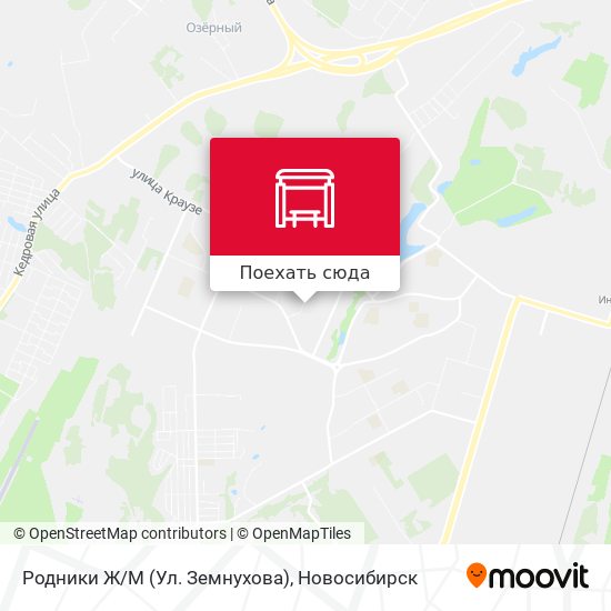 Карта Родники Ж/М (Ул. Земнухова)