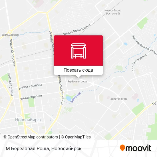 Карта М Березовая Роща