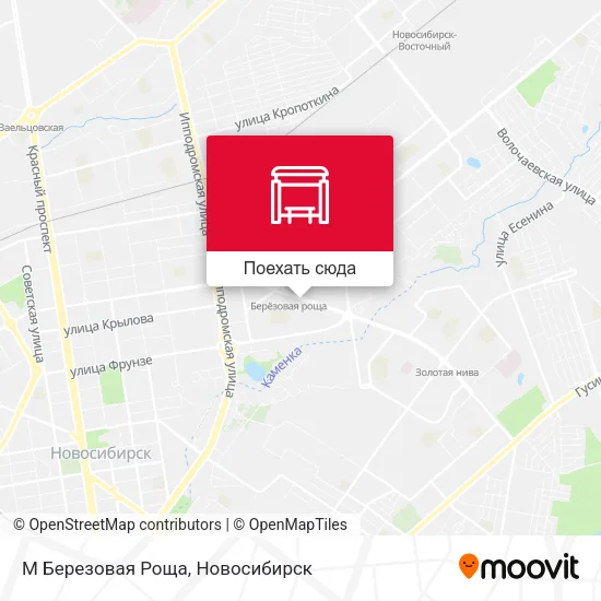 Карта М Березовая Роща