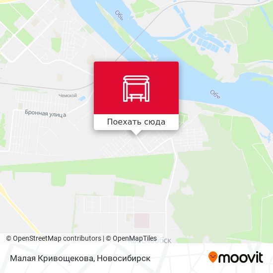 Карта Малая Кривощекова
